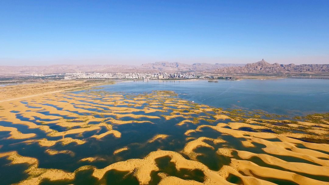 乌海,致敬领导与同胞的盛会